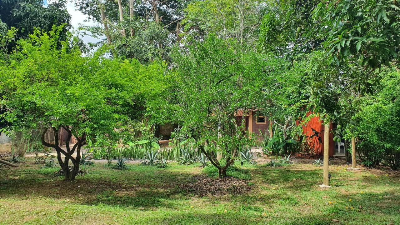 Free Soul House - Localizacao Ideal No Centrinho Alto Paraíso de Goiás Esterno foto